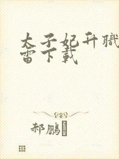 太子妃升职记迅雷下载