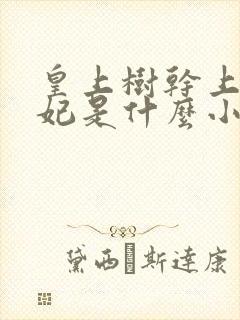 皇上树干上太子妃是什么小说