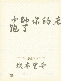 少帅你的老婆又跑了