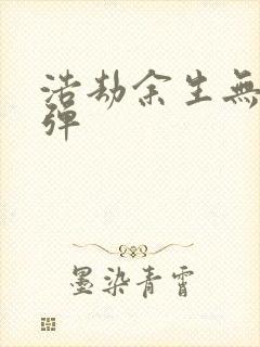 浩劫余生无限子弹