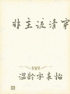 非主流清穿
