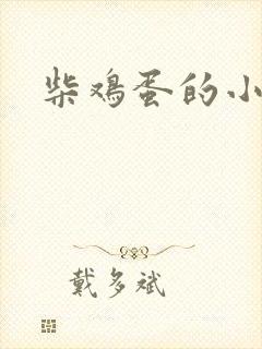 柴鸡蛋的小说