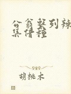 公翁系列辣文全集借种