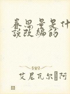 眷思量是什么小说改编的