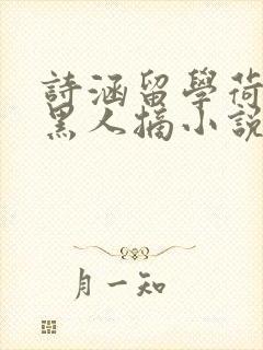 诗涵留学荷兰被黑人摘小说