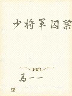 少将军囚禁我