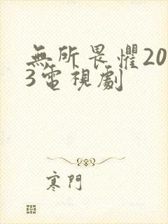 无所畏惧2023电视剧