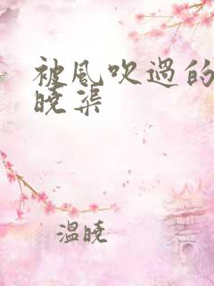 被风吹过的夏天晓渠