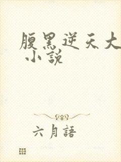 腹黑逆天大小姐 小说