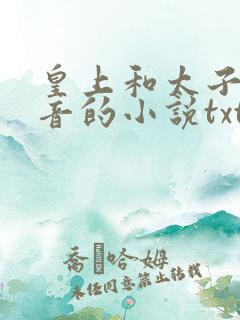 皇上和太子妃沈音的小说txt