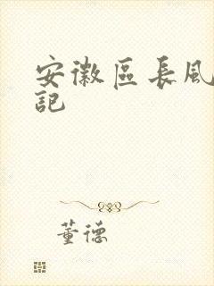 安徽区长风流日记