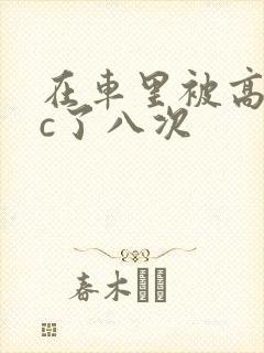 在车里被高潮被c了八次