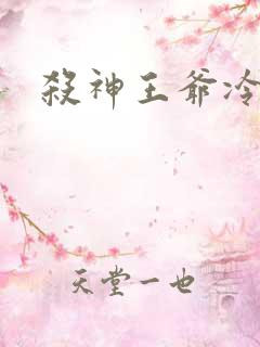 杀神王爷冷情妃