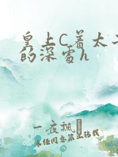 皇上C着太子妃的深处h