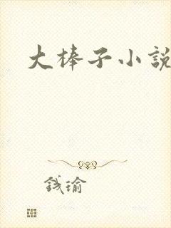 大棒子小说