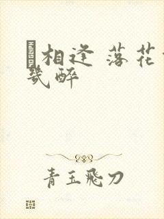 囍相逢 落花能几醉