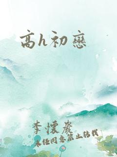 高h初恋