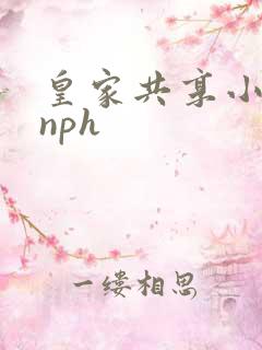 皇家共享小公主nph