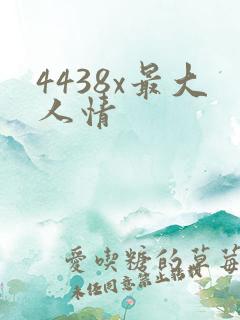 4438x最大人情