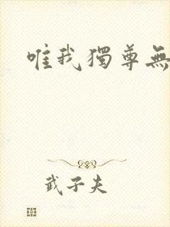 唯我独尊无弹窗