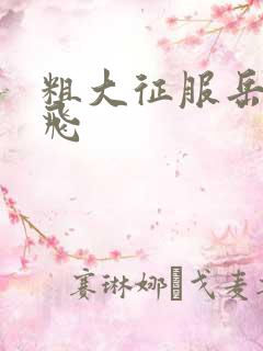 粗大征服岳女双飞