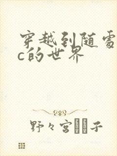 穿越到随处可以c的世界