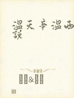温天辛温西离小说