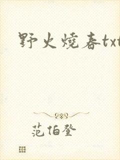 野火烧春txt