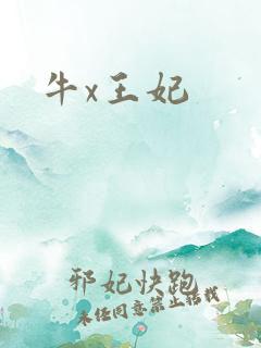 牛x王妃