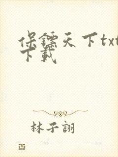 保镖天下txt下载