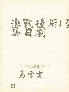 激战后厨1至5集日剧