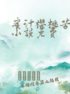 蜜汁樱桃苦咖啡小说免费