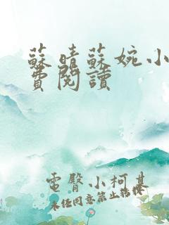 苏晴苏婉小说免费阅读