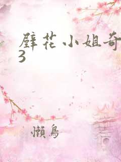 壁花小姐奇遇记3