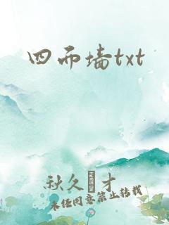 四面墙txt