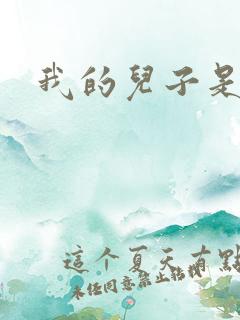 我的儿子是雍正