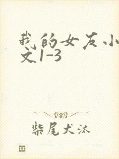 我的女友小洁全文1-3