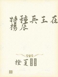 特种兵王在都市杨辰