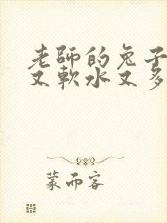 老师的兔子又大又软水又多