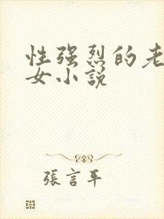 性强烈的老年妇女小说