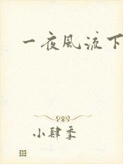 一夜风流下载