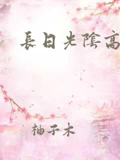 长日光阴高h