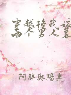 穿越后我嫁给了两个男人暮色酒歌