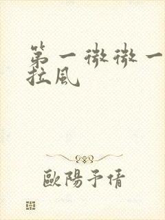 第一微微一笑很拉风