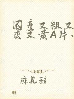 国产又粗又猛又爽又黄A片小说