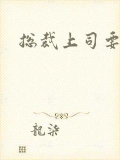 总裁上司要偷心