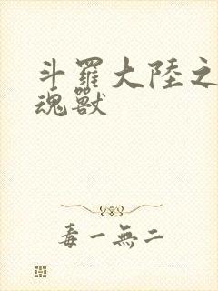 斗罗大陆之最强魂兽