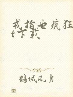 戒指也疯狂txt下载