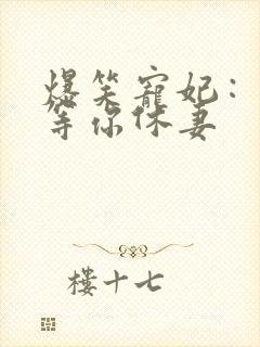 爆笑宠妃：爷我等你休妻