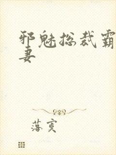 邪魅总裁霸占新妻